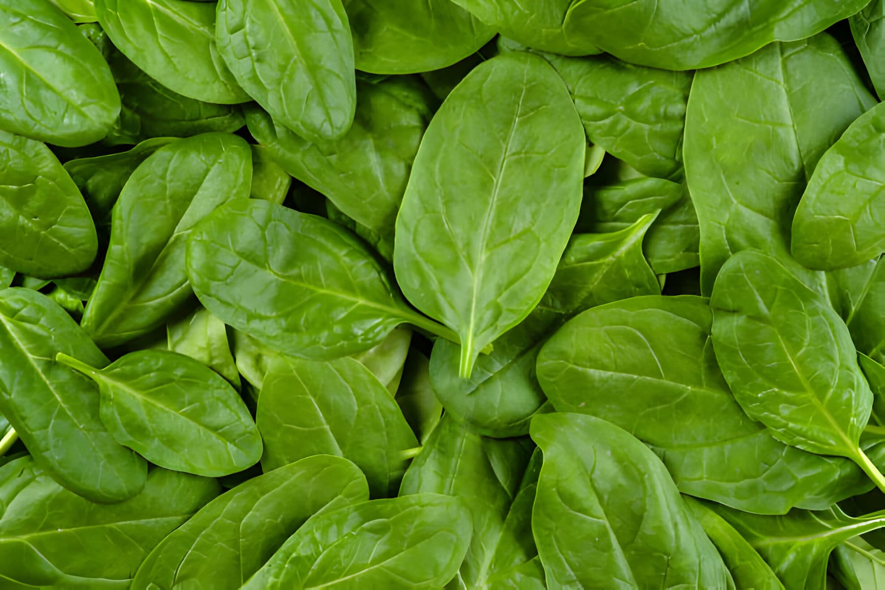 Spinach